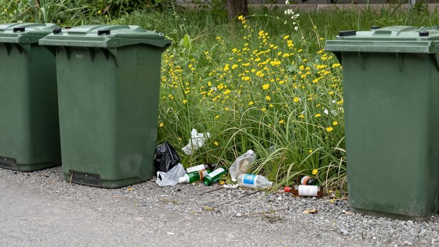 Green waste bins surrounded by scattered garbage and wildflowers on a gravel path.