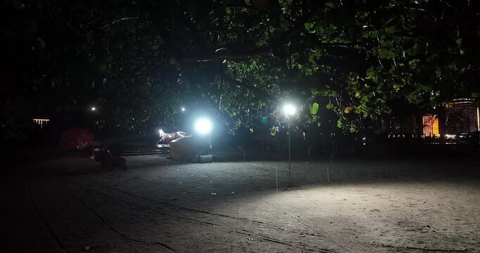 Bright lights illuminate a rainy, sandy beach at night beneath a tree canopy near a small food stall, with the warm glow of distant buildings in the background.