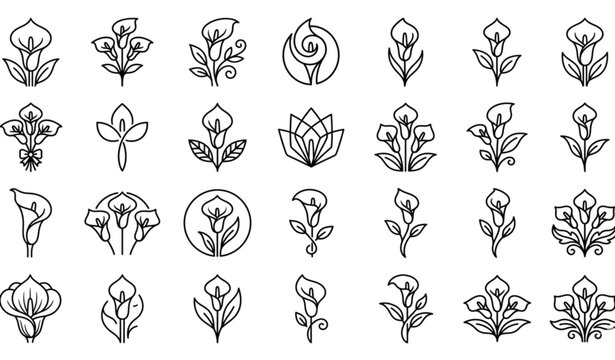 Minimal arum lily drawing icon set with floral line art vector illustration