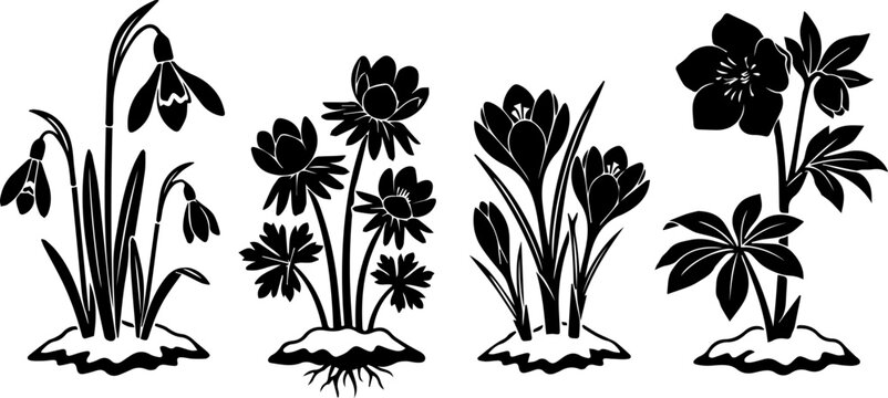 Tarantula Spider Black Silhouette Set Vector Wildlife Insect Halloween Illustration Clipart