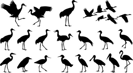Naklejka premium Crane Heron Bird Black Silhouette Set Vector Wildlife Nature Illustration Clipart