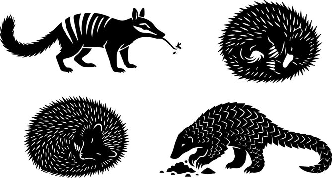 Aardvark Armadillo Hedgehog Wildlife Black Silhouette Set Vector Animal Illustration