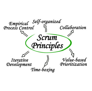 Six Scrum Principles