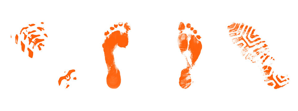 Set of human footprints and shoe prints on transparent background, variety of detailed bare foot soles, boot imprints, and footwear traces.