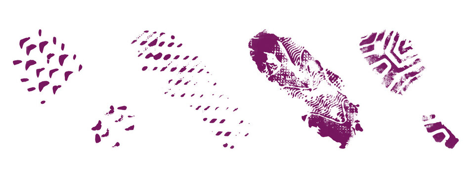 Purple shoe sole imprint set vector isolated on transparent background textured sneaker tracks and boot tread marks footwear patterns for crime scene evidence design kit.