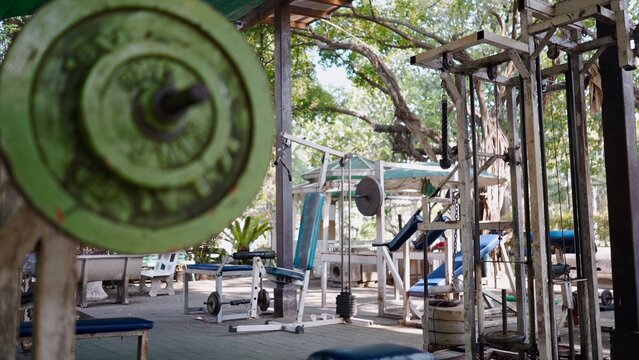 Outdoor gym equipment in a park setting providing a street workout facility