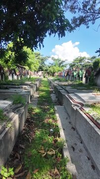 Pathway Through Historic Christian Cemetery in Malang, East Java, Indonesia