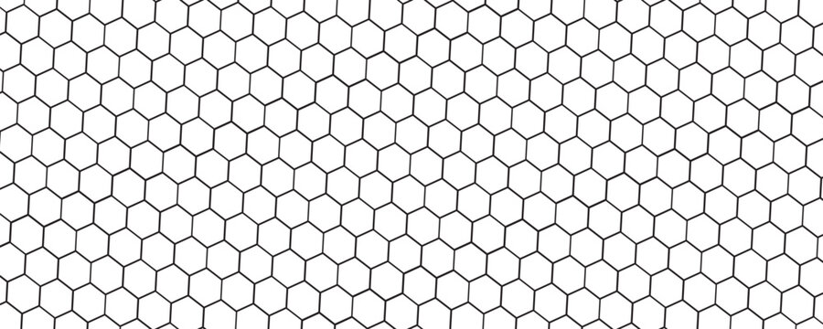 Honeycomb pattern with hexagon mesh, honeycomb background, Propolis Honey comb, Honeycomb structure. Honey, pollen, wax, parchment and bee products in sketch style. honeycomb grid texture isolated.