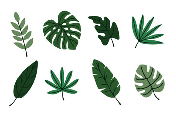 Minimalist collection of green tropical plant leaves in flat style isolated on white background. Suitable for eco design, botanical decor, posters and branding. © Dilara