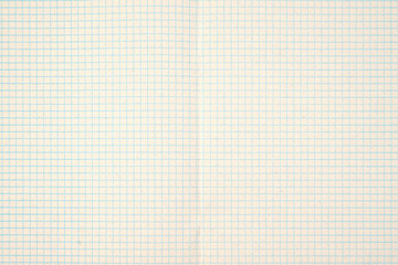 blank notebook sheet in a blue grid close up © Родион Бондаренко