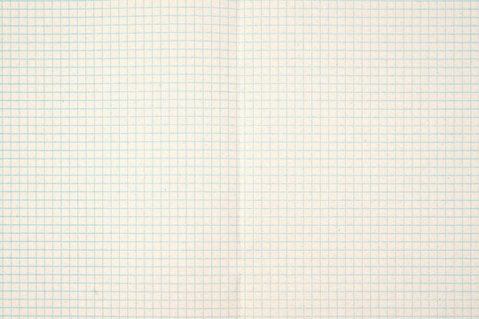 blank notebook sheet in a blue grid close up