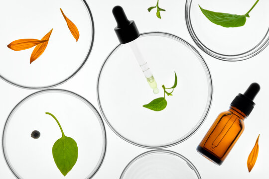 Pipette, Amber Dropper Bottle, Greenery and Petals in Petri Dishes.