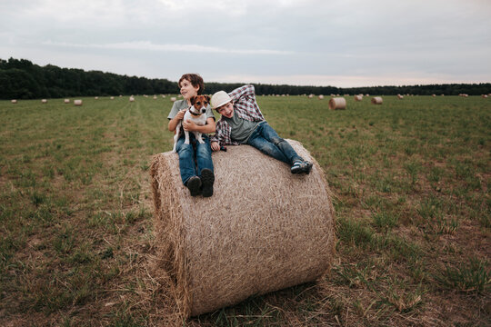 Two Joyful Boys Enjoying a Summer Day on a Hay Bale With Their Dog