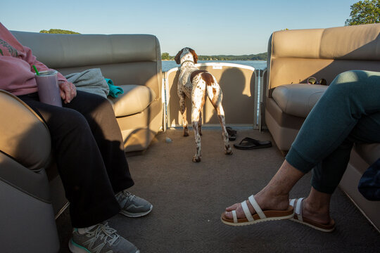 Happy Dog on Pontoon Boat with Human Legs in Foreground