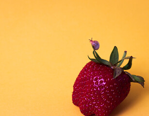 Fresh strawberry on a yellow background. Little snail is on the green leaf of a strawberry. © Kate