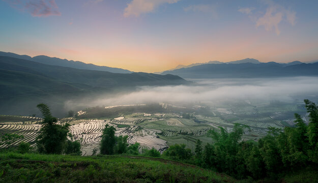 Valley Fog and Terraces