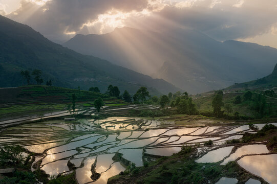 Sunrays over Y Ty Terraces