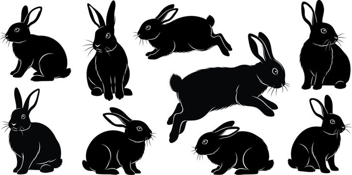 Rabbit silhouette jumping sitting collection