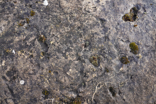 Detailed close-up of rough natural stone texture with patches of green moss