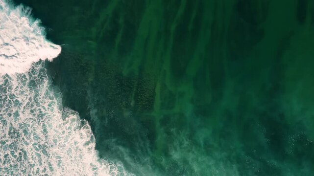 Aerial drone view of surfers, surfing paddling, duck diving, with beautiful blue collars and glass sea