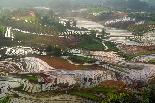 Curving Terraces and Village