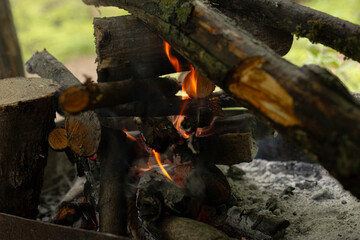 Fototapeta premium fire on the grill and branches