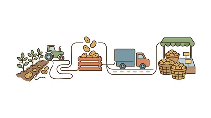 A linear illustration showing the supply chain process of harvesting potatoes from farm to market. © Majid_Sa'dan