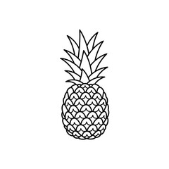 Obraz premium Pineapple Fruit Illustration Line Art.
