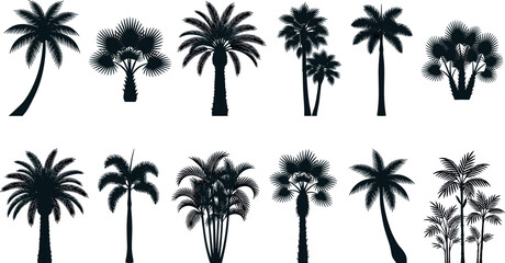 Obraz premium Tropical Palm Tree Black Silhouette Vector Icon Set