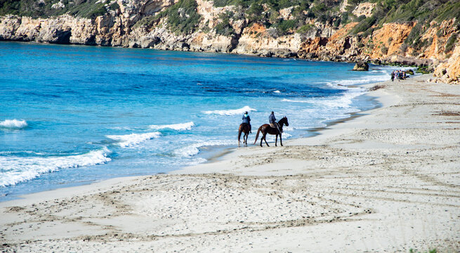 Caballos trotando por la playa de  Binigaus Es Migjorn Gran Menorca.