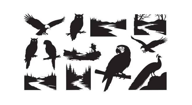 Diverse collection of bird silhouettes including eagles owls parrots peacocks and natural landscapes and trees.