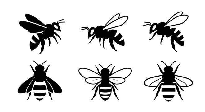 Set of six stylized black and white bee illustrations, showcasing different poses and perspectives for graphic design