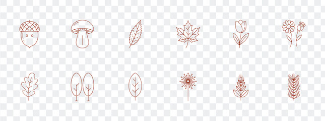 Autumn Nature Line Art Icons Set. Hand Drawn Botanical Vector Collection with Leaves, Flowers, Trees, Acorn Forest Elements. Minimalist Outline © Masud