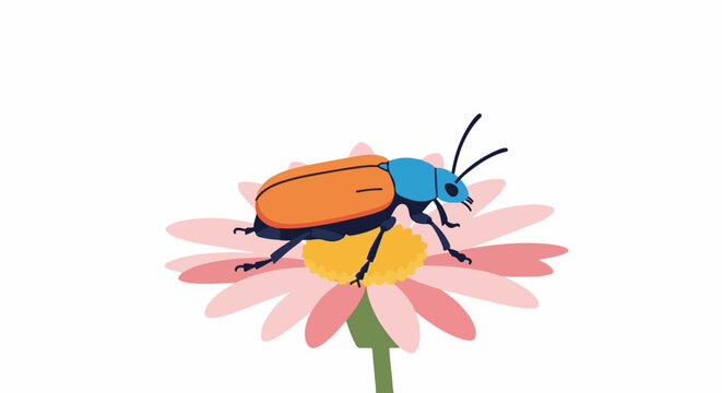 A colorful beetle with orange wing covers rests on a pink daisy
