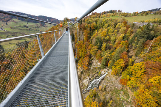 Suspension bridge Blackforestline at Todtnau waterfall in the Black Forest in autumn in Todtnau, Germany