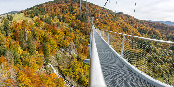 Suspension bridge Blackforestline at Todtnau waterfall in the Black Forest autumn panorama in Todtnau, Germany