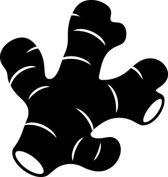 Ginger root black silhouette icon with white highlights, organic root shape and bold graphic style, isolated on white background for stickers, labels, packaging, grocery and spice designs.