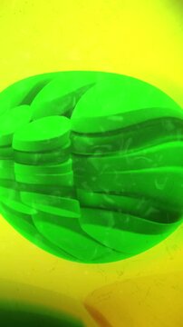  Chloroplast in a Plant Cell - Cinematic Animation ALT - Vertical.