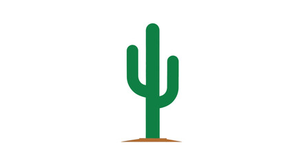 green cactus plant vector illustration © Tudey
