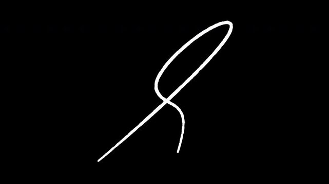 White hand drawn cursive loop line art animation on transparent background for minimalist design projects and decorative video overlays.