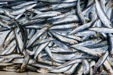 Obraz premium Freshly caught sardines piled high, ready for market
