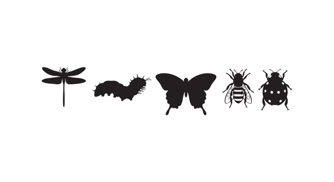 Insect vector silhouettes collection featuring dragonfly, caterpillar, butterfly, bee, and ladybug in naturalistic style.