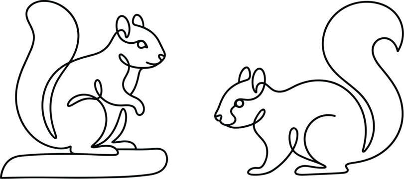 Two squirrels depicted in a continuous line style with black outlines on a white background showing one sitting on a branch and another standing on the ground facing each other