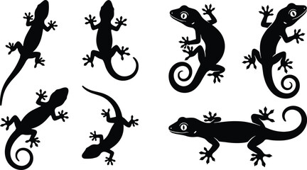 Black gecko lizard silhouettes collection featuring tropical reptiles in various crawling positions isolated on white background for commercial design © Mukta