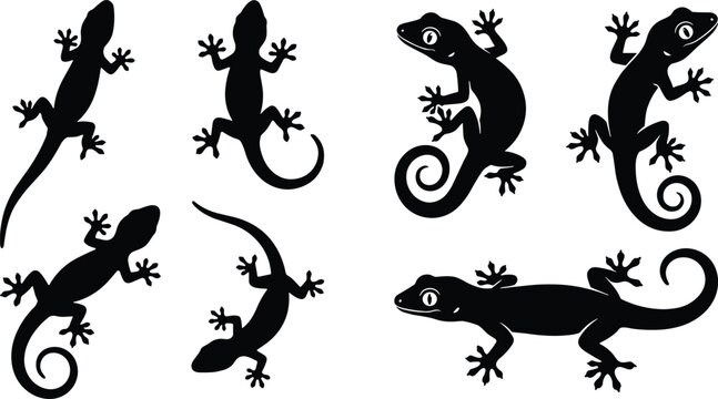 Black gecko lizard silhouettes collection featuring tropical reptiles in various crawling positions isolated on white background for commercial design