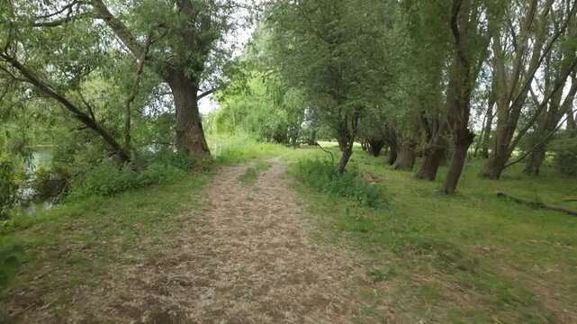Water Newton, Cambridgeshire, England, UK - June 01 2026: Water Newton Nature Trail, Point of view, gimbal walking video through a forest trail by the river nene towards an opening