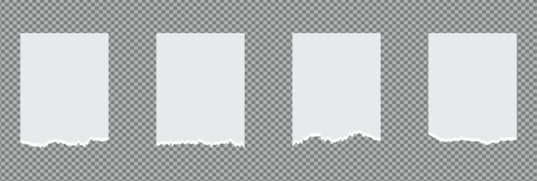 pieces  torn white paper with shadow. Isolated transparent background. High-quality paper rip overlay effect