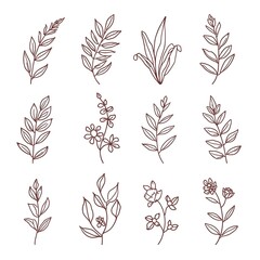 Fototapeta premium A collection of hand-drawn leaves and flowers in a simple line art style on a white background