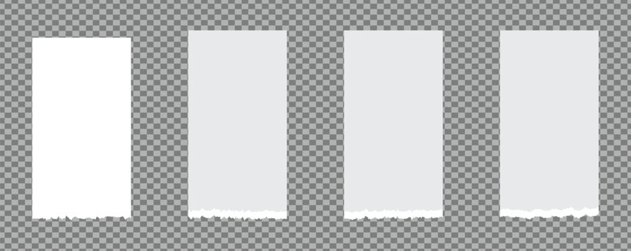 Piece of torn white paper ripped message. stuck on white squared background. Vector illustration