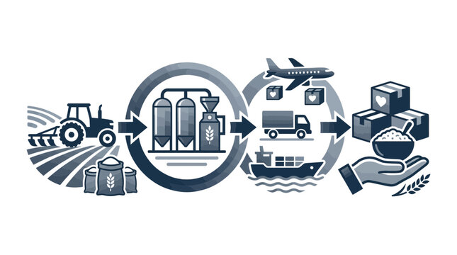 A comprehensive infographic illustrating the agricultural supply chain from farming to final product distribution.